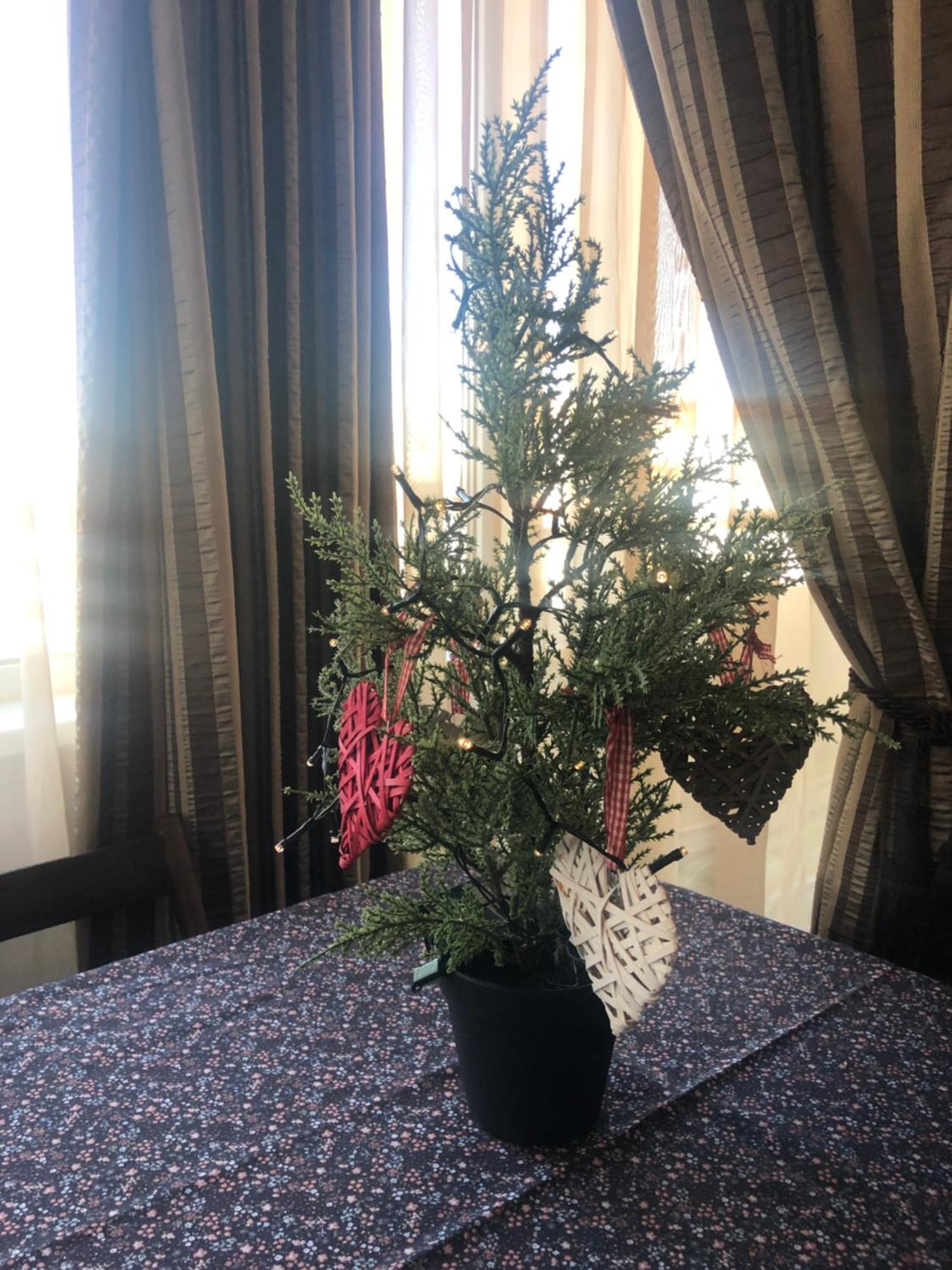 Family Retreat Politehnica Park Apartment Bucureşti Ngoại thất bức ảnh